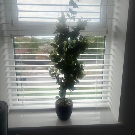 2 Beds Mint Drive With Secure Car Or Park W Wifi-netflix No Deposit Required *